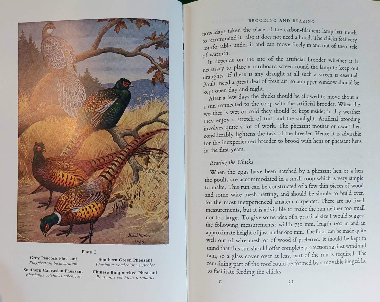 Pheasants Including Their Care In The Aviary by HA Gerrits 1974 Beautiful Illust
