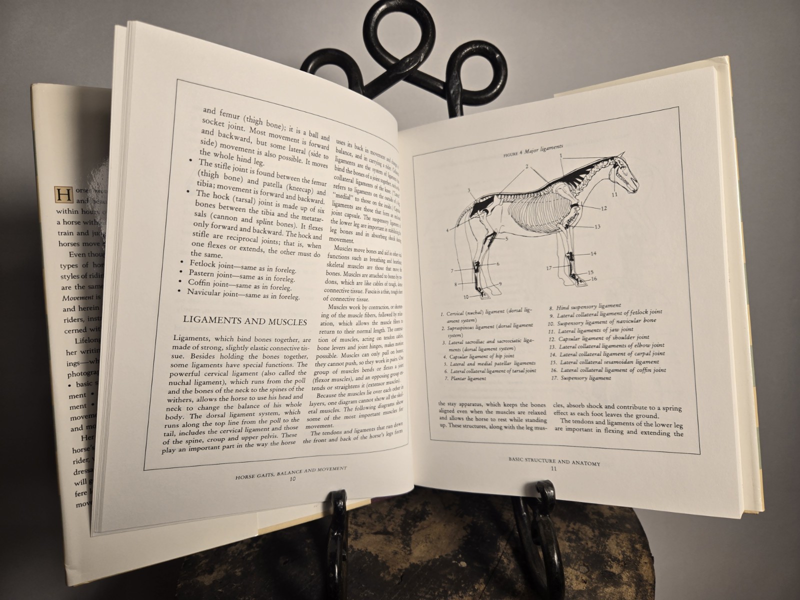 Susan E. Harris Horse Gaits, Balance and Movement (1993)