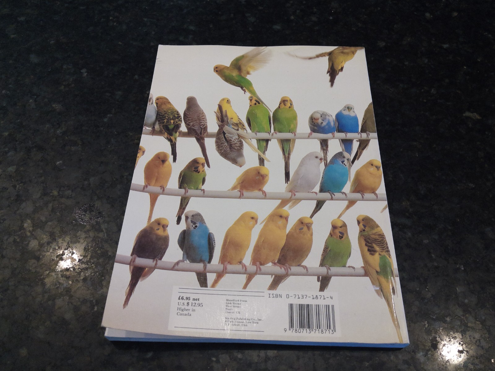 Complete Book of Budgerigars by John Scoble (1987, Trade Paperback)