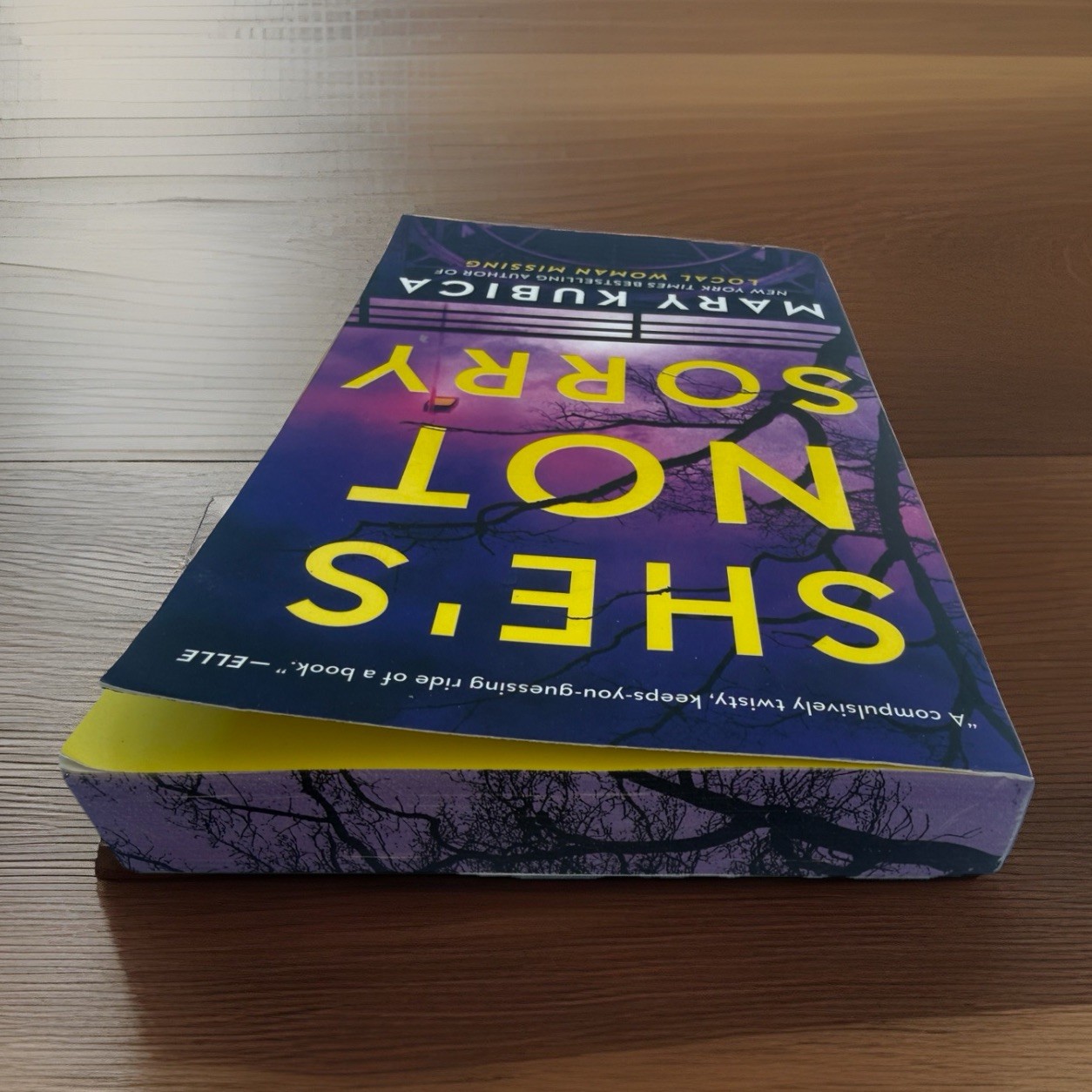 She’s Not Sorry Paperback Book by Mary Kubica Psychological Thriller