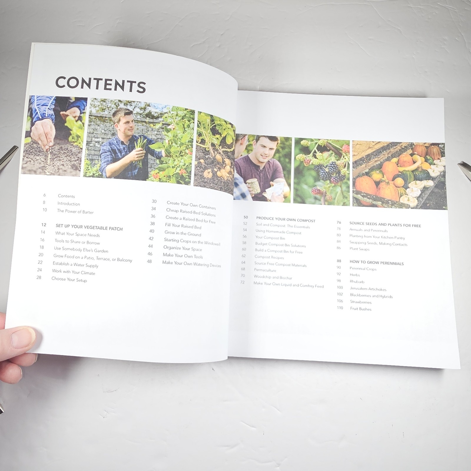 Grow Food For Free: The Sustainable, Zero-Cost, Low-Effort Way by Huw Richards