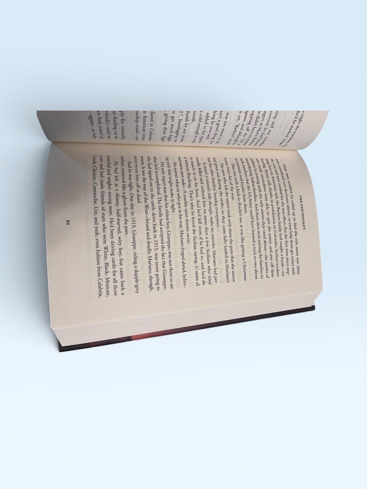 The Descendant Hardcover Linda Stasi