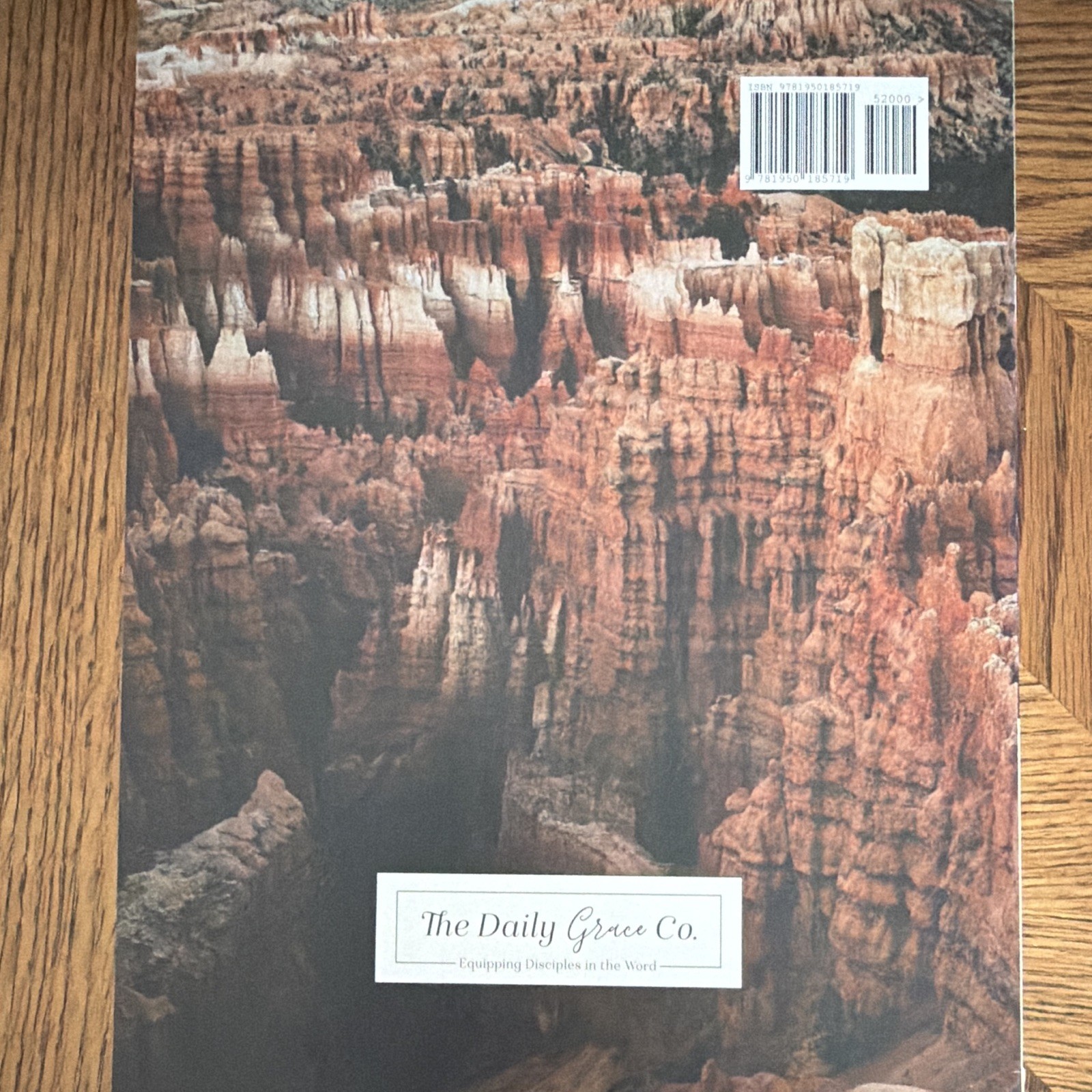 Genesis: Foundations of Grace Vol 1 Joanna Kimbrel PB Illus