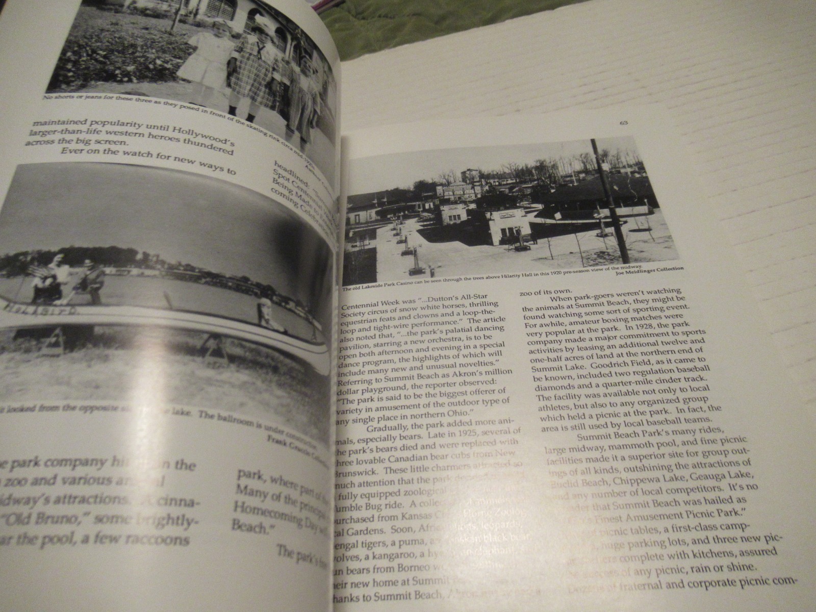 Summit Beach Park: Akron’s Coney Island by Diane & David Francis, Amusement Park