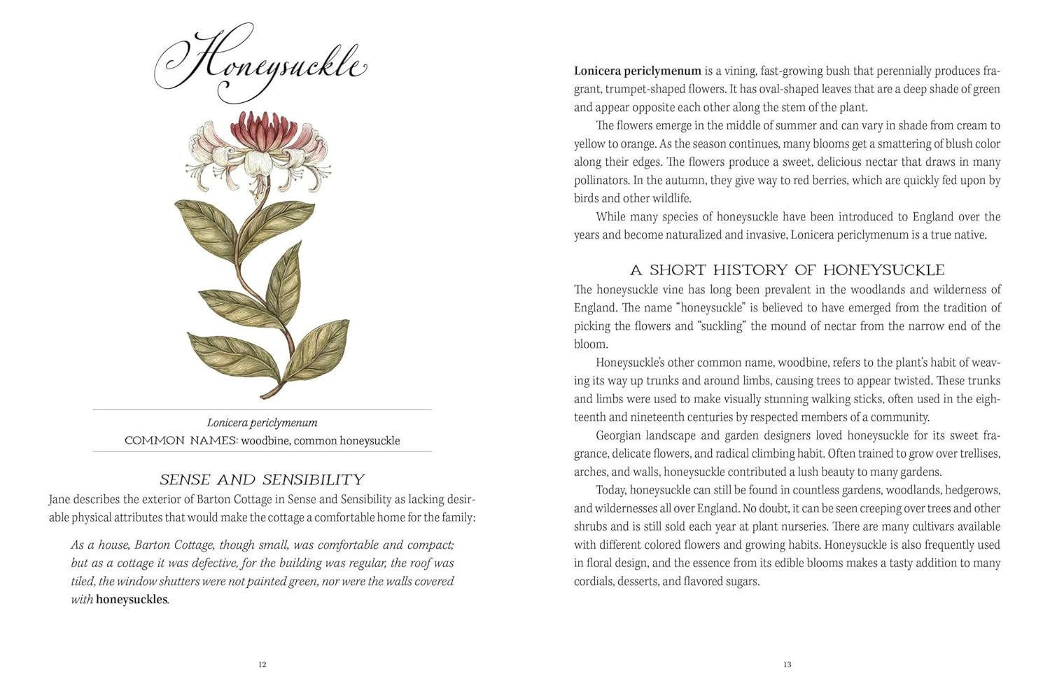 Jane Austen’s Garden: A Botanical Tour of the Classic Novels
