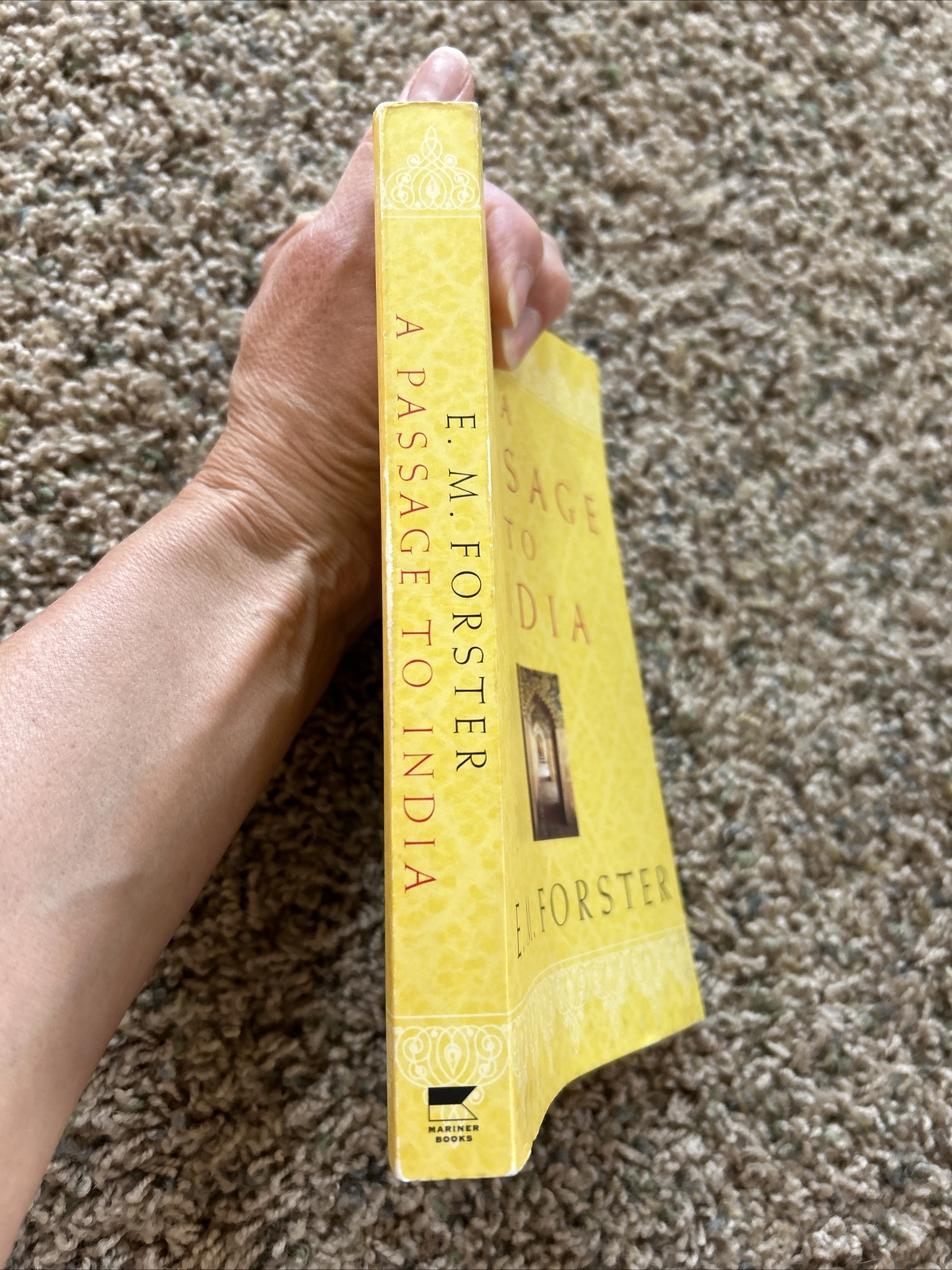 A Passage to India by E. M. Forster (1965, Trade Paperback, Reprint)