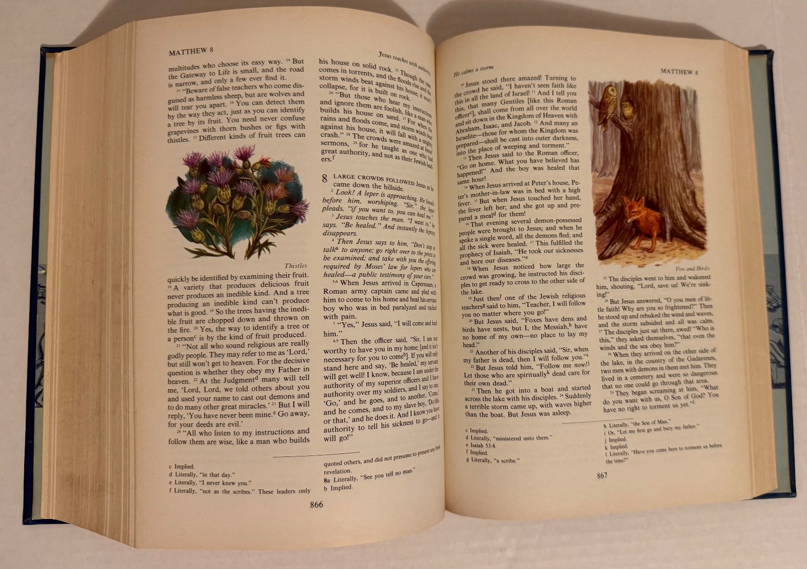 The Living Bible Holman Illustrated Edition -Paraphrased 1973 Tyndale Color pics