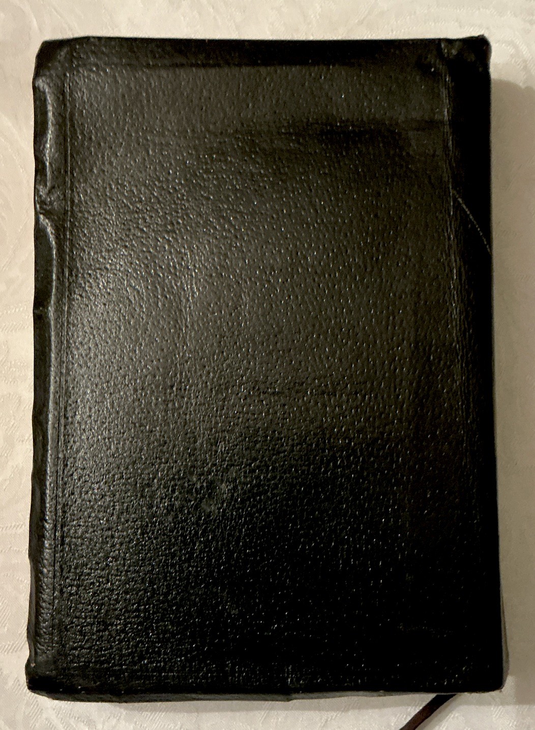 Vintage Holy Bible RSV 1962 World Publishers Reference Large Print Illustrated