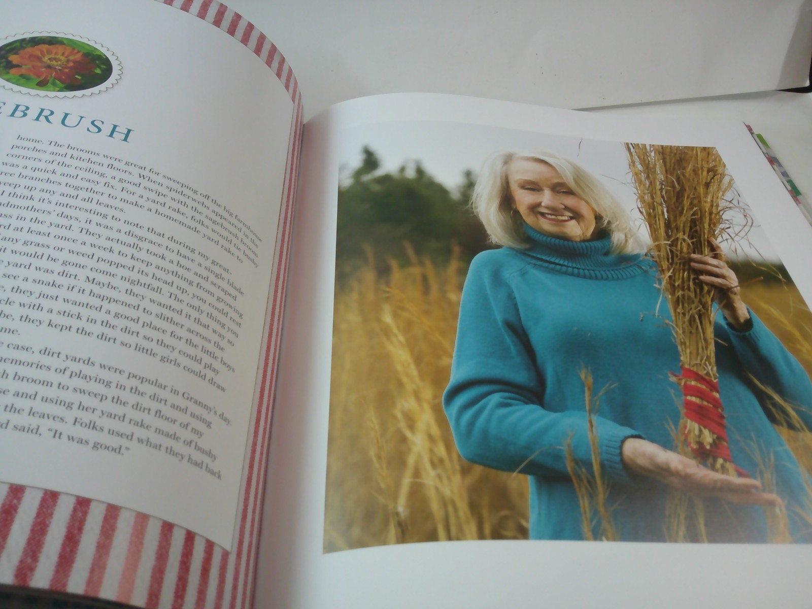 BRENDA GANTT ALL 3 COMPLETE COOKBOOKS + SOUTHERN MIRROR, ALL STILL IN BOX