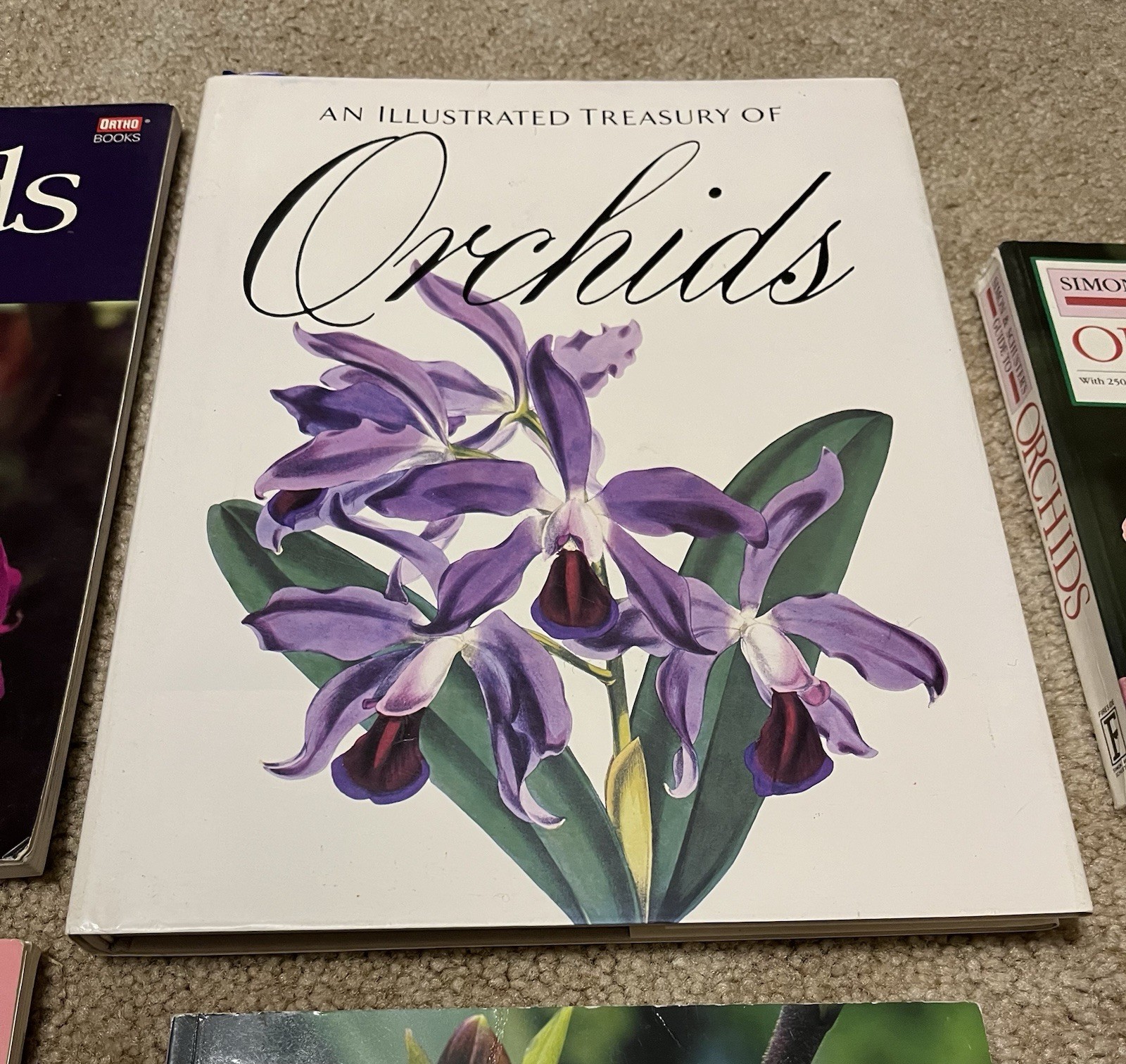 All About Growing ORCHID Flowers Garden Expert Guide Book Illustrated Lot x6 VG