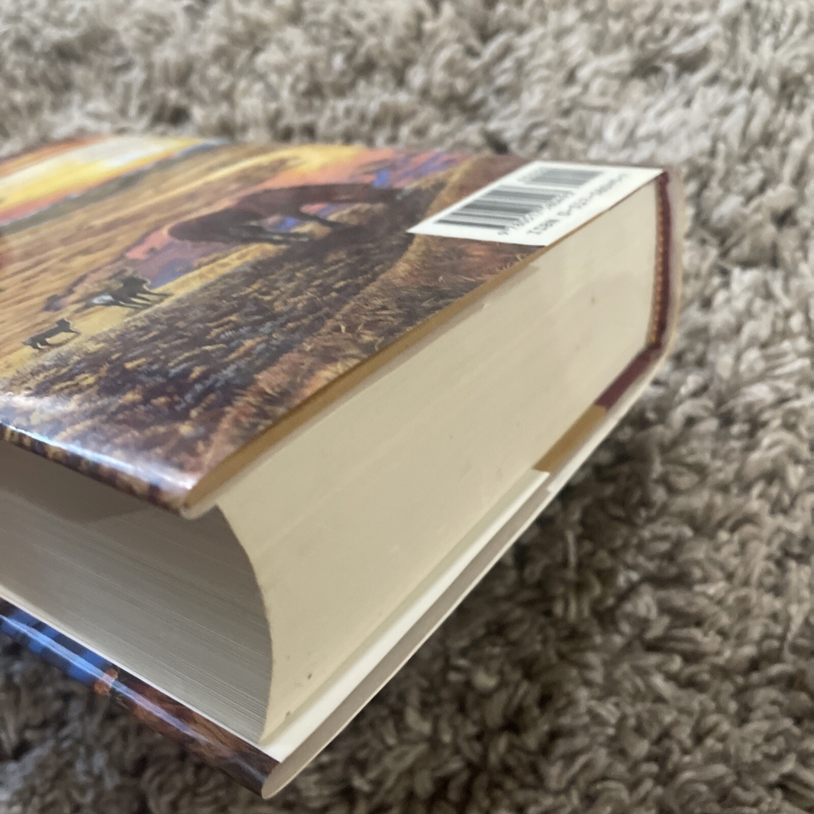 Earth’s Children Ser.: The Plains of Passage : A Novel by Jean M. Auel 1990 HCDJ