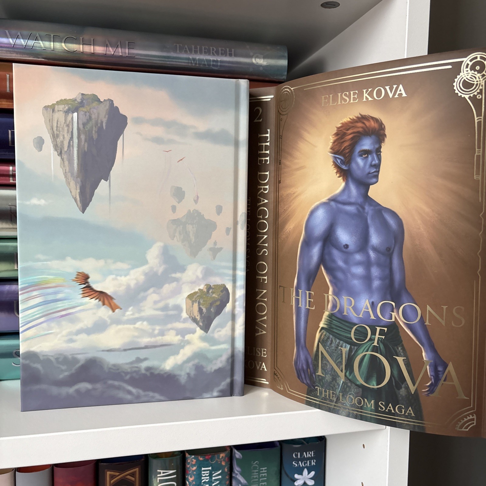 The Loom Saga 3 Book Series by Elise Kova Books for Days Crate Special Editions