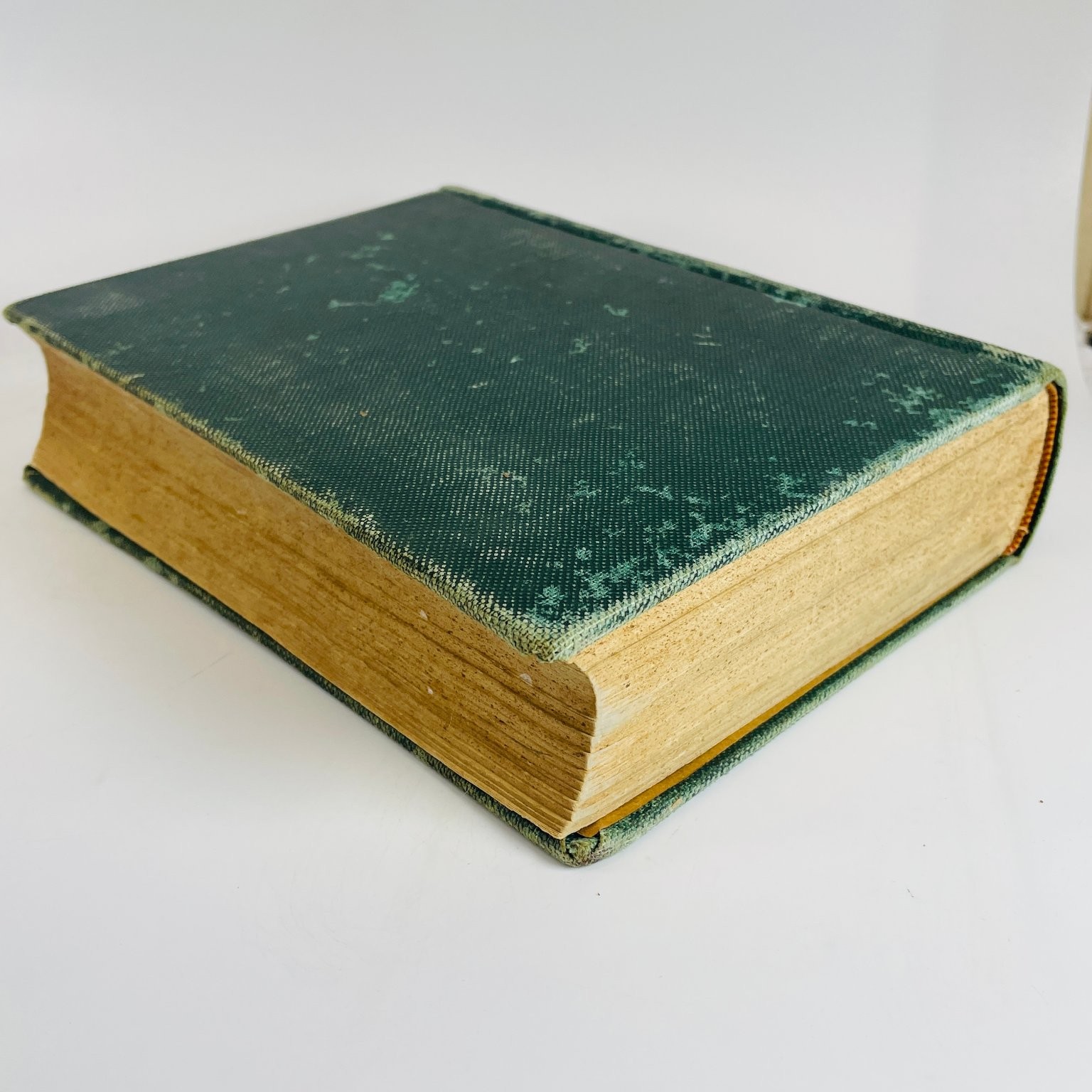 Every-Day Life of Abraham Lincoln Browne 1886 Illustrated Biography N.D