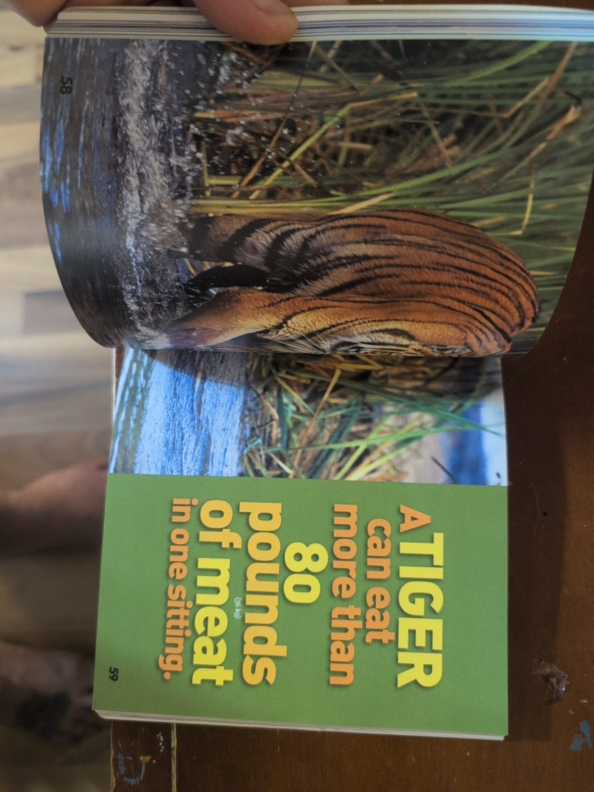 Weird but True! 2 : 300 Outrageous Facts by National Geographic Kids (2010,…