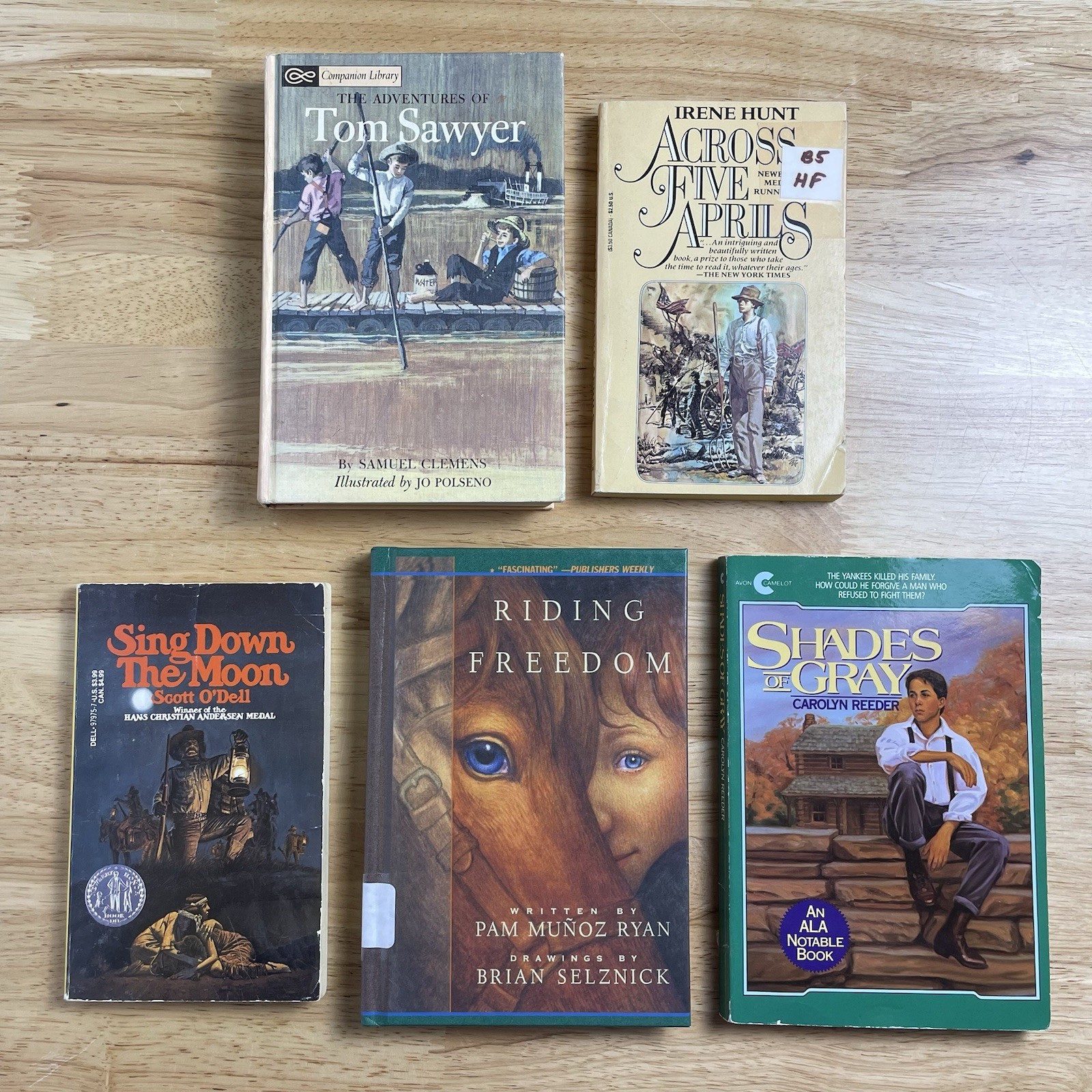 Lot of 5 Historical Chapter Books – Classroom Homeschool Library 1800s Civil War