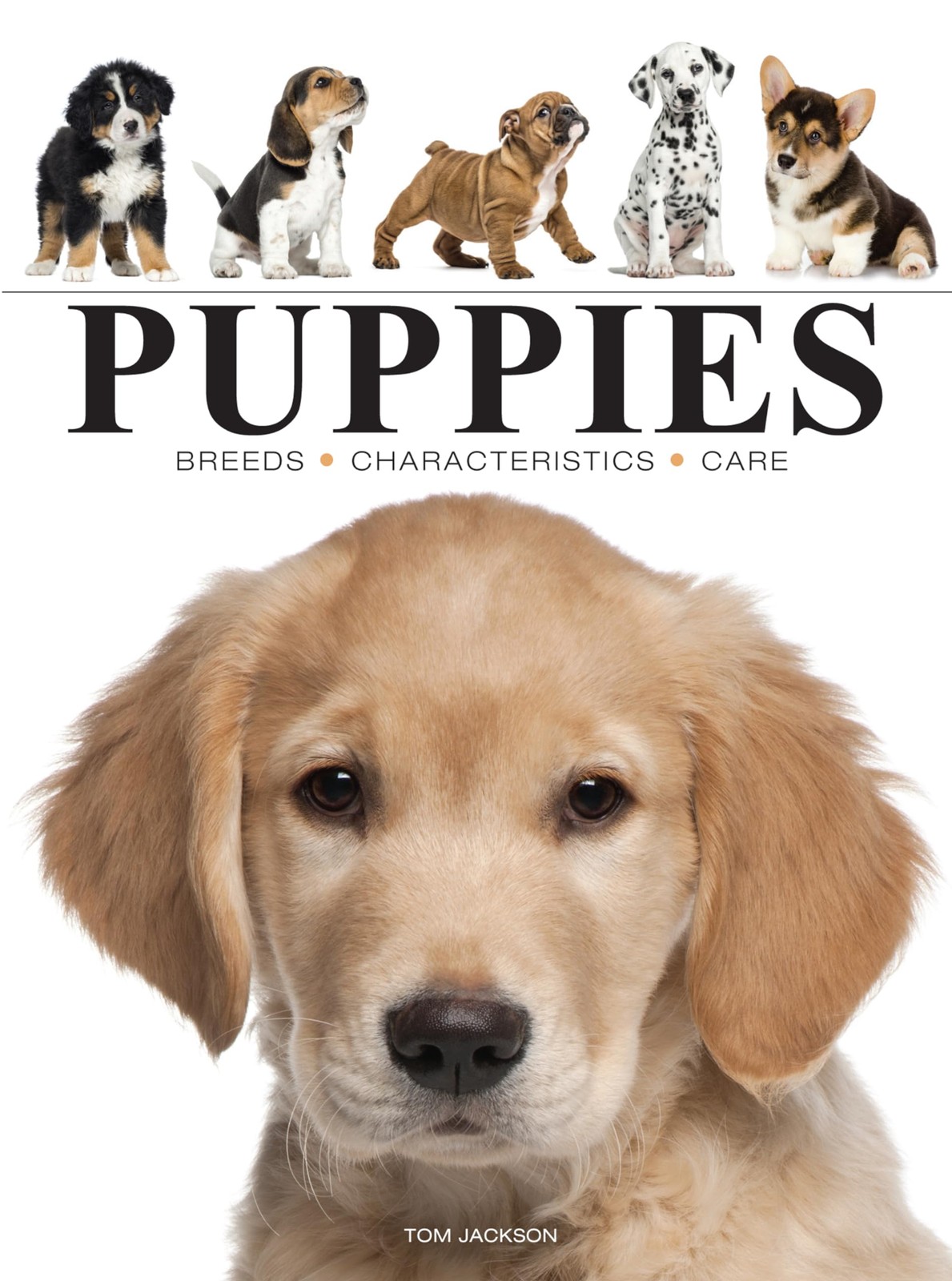 Puppies (Mini Encyclopedias)