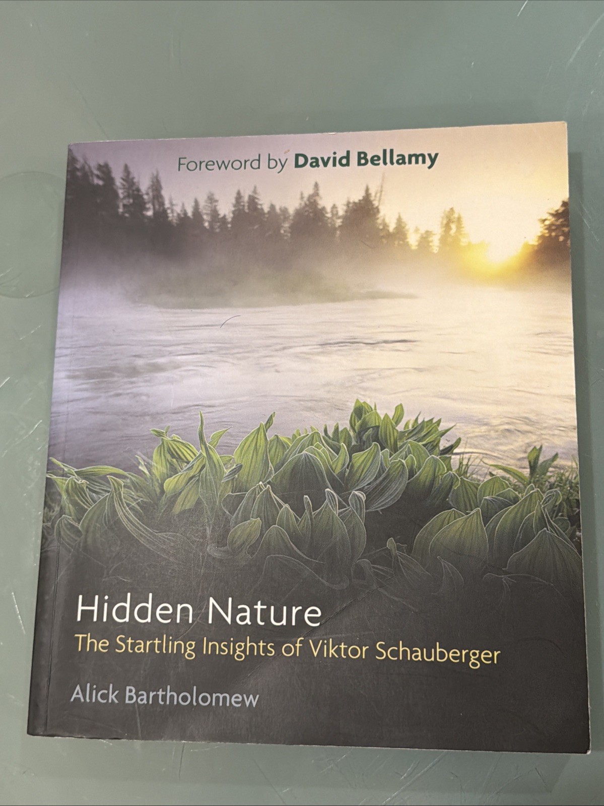 Hidden Nature: The Startling Insights of Viktor Schauberger – Paperback