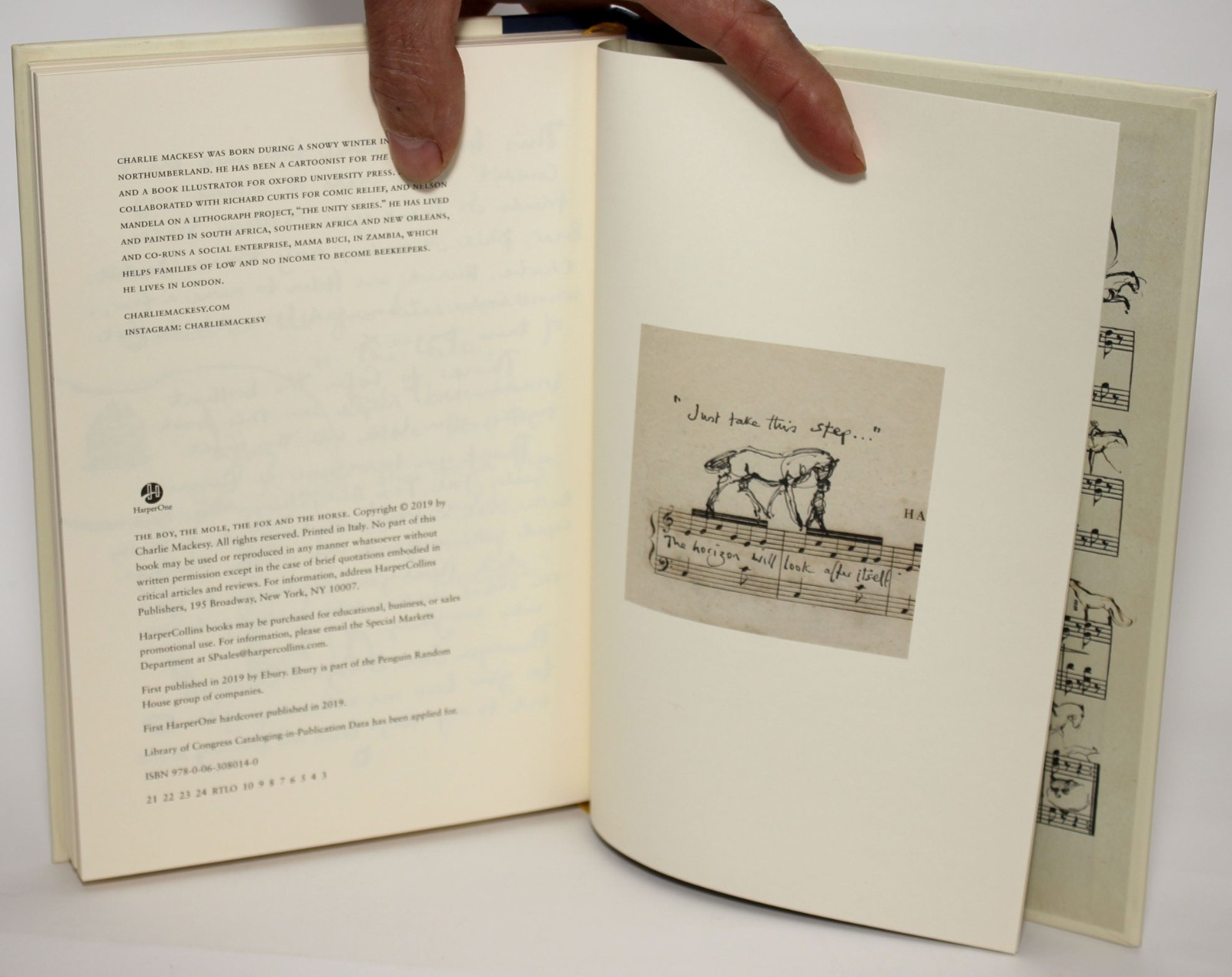 THE BOY THE MOLE THE FOX & THE HORSE Charlie Mackesy Harper 2019 HC Illustrated