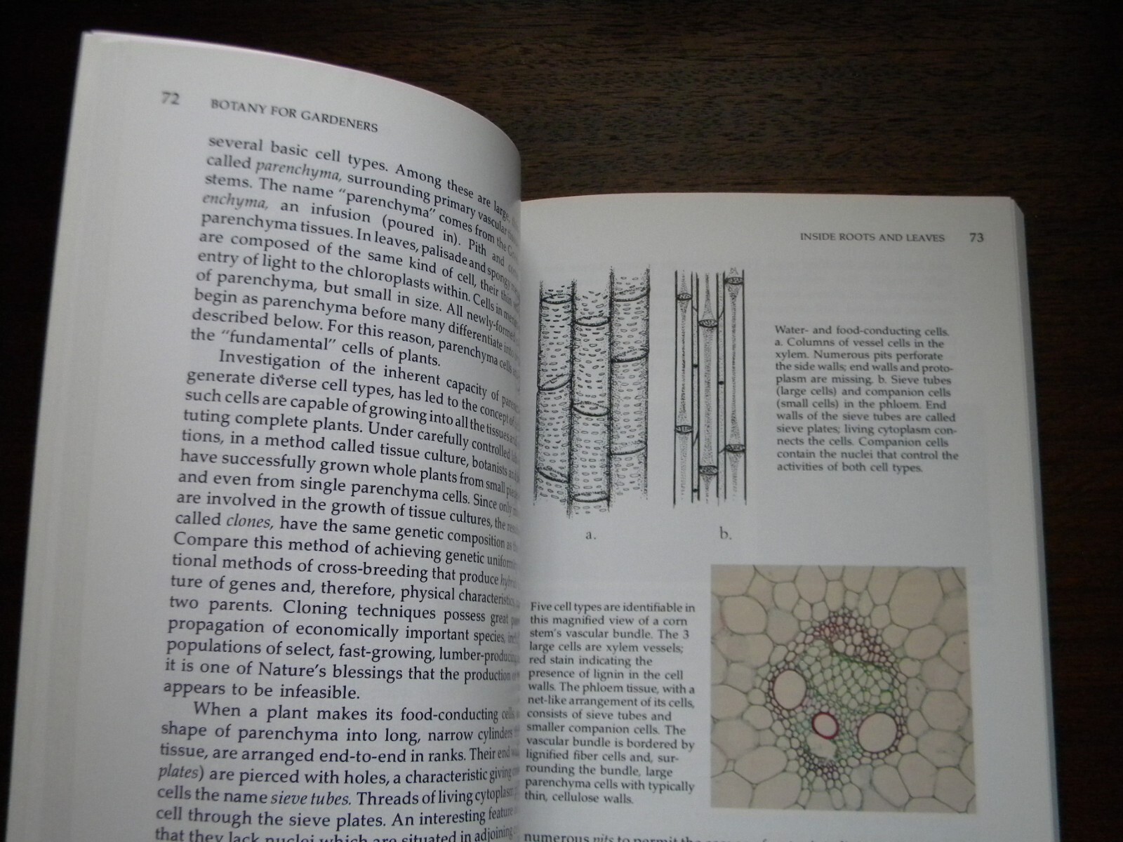 Botany For Gardeners by Brian Capon 1995 PB
