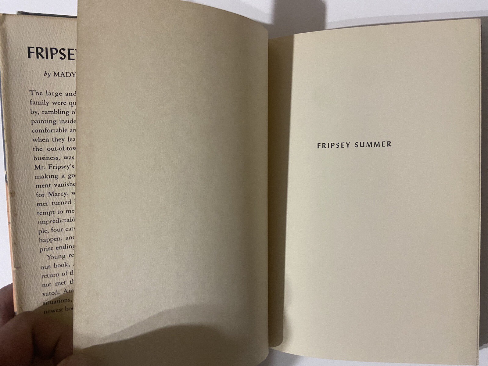 Fripsey Summer by Madye Lee Chastain (1953 1st Hardcover)