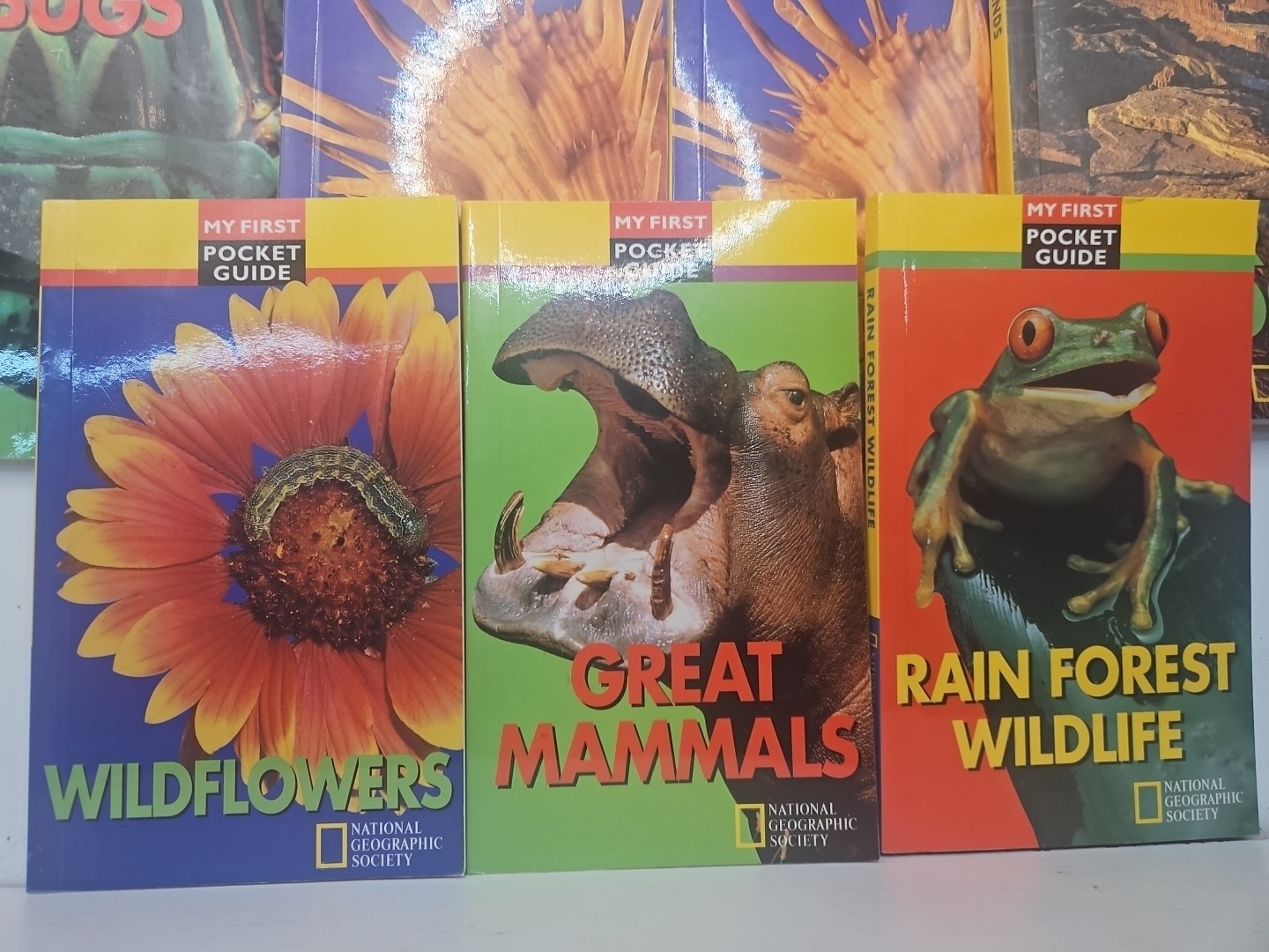 National Geographic My First Pocket Guides: Big Collection 11 Books science