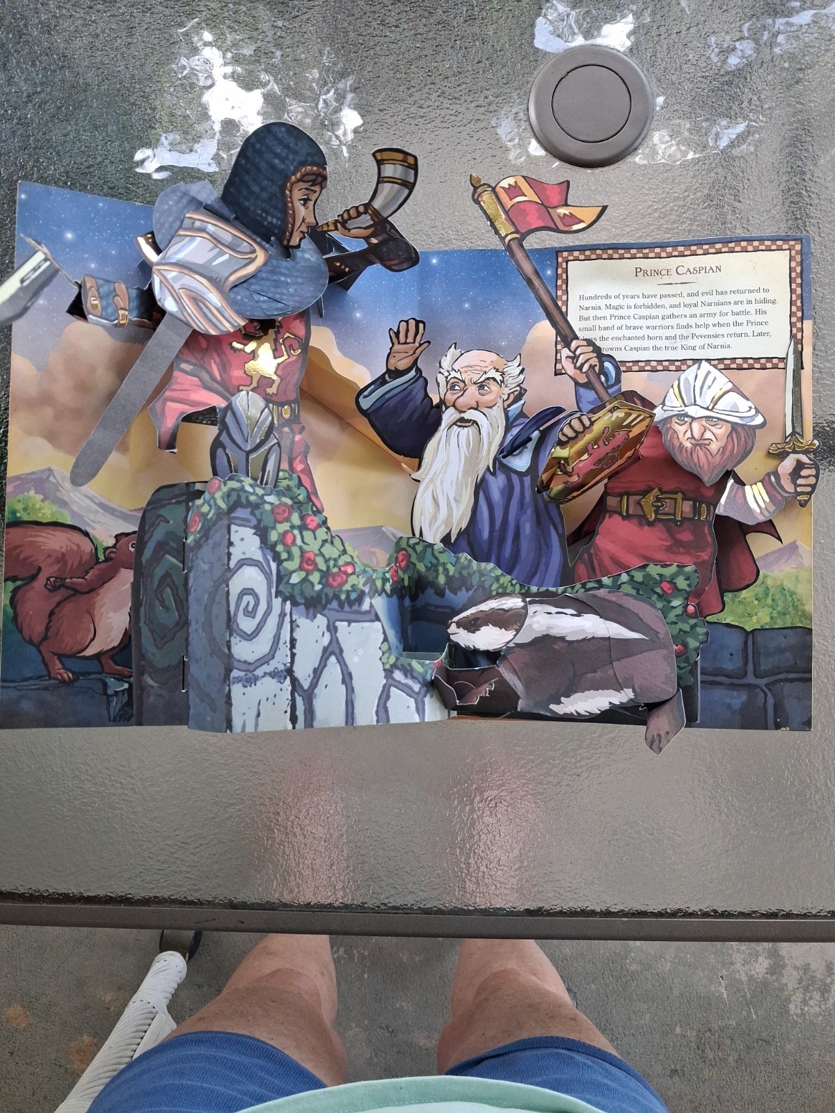 Chronicles of Narnia Pop-Up Book 2007 Hardcover Based on C.S. Lewis Fantasy Kids