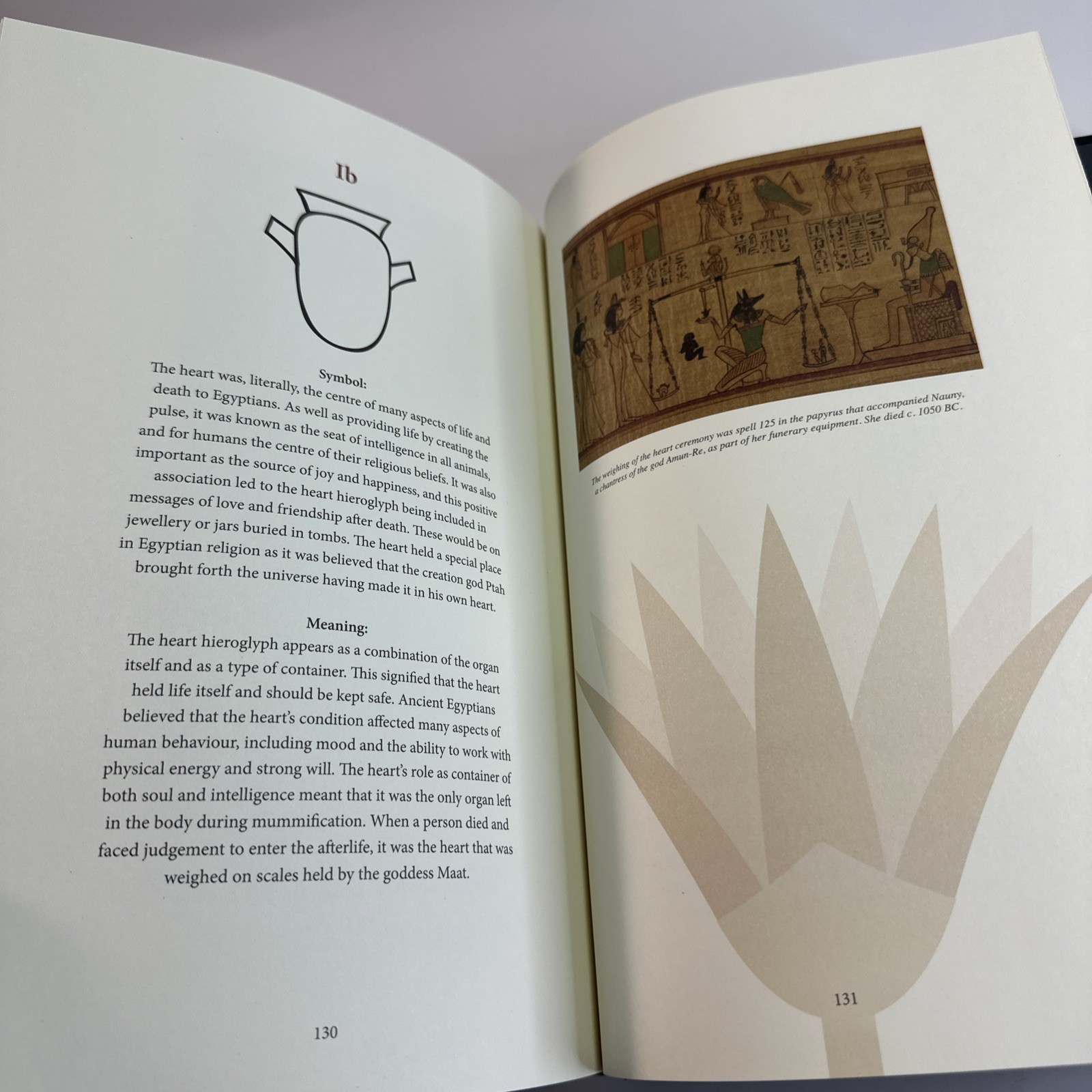 Ancient Egyptian Hieroglyphs Illustrated by Trevor Naylor 2025 Pr. Amber