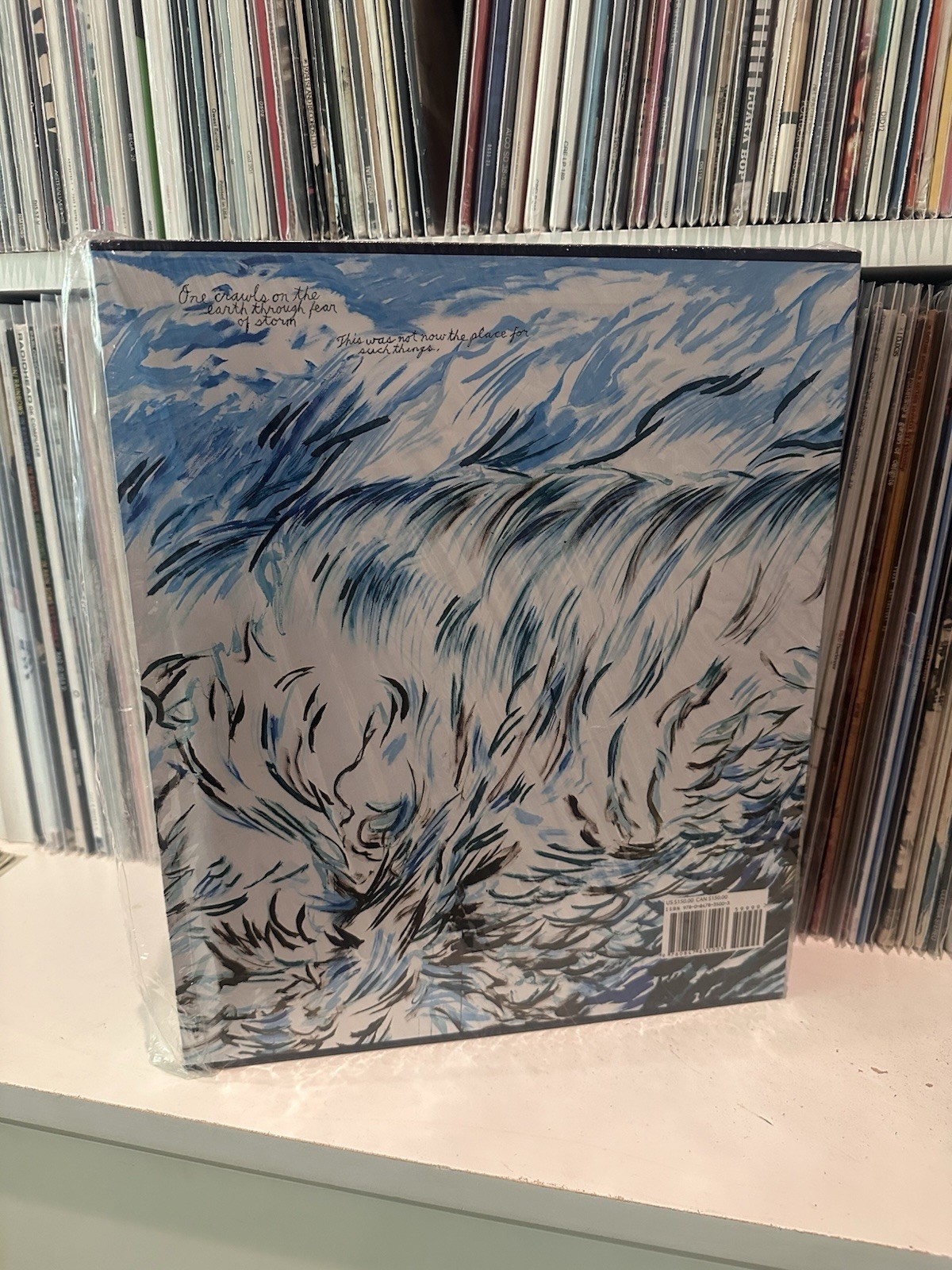 Raymond Pettibon Large HardBound Slipcase Book Rizzoli And Regen Projects