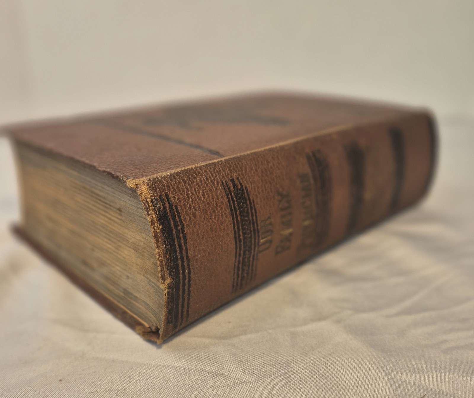 1887 Our Family Physician Book Hard Cover Medical Guide Treatment Of Disease