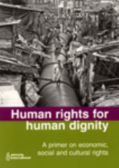 Human Rights for Human Dignity : A Primer on Economic, Social and