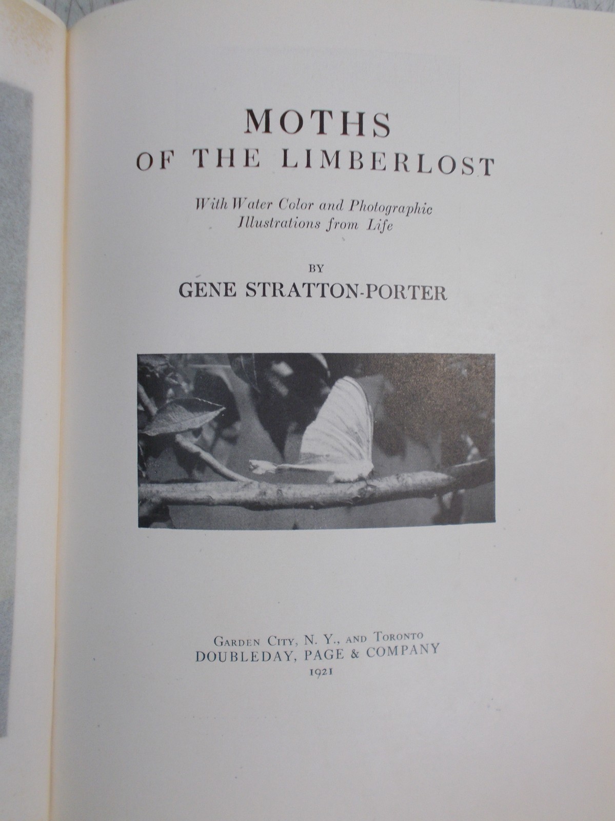 Antique-Moths of the Limberlost by Gene Stratton-Porter, 1921, VGC