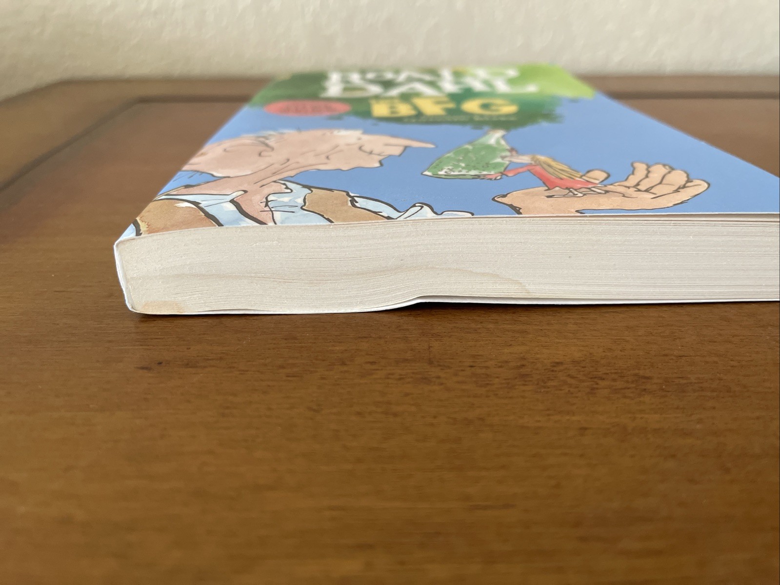 Lot of 14 Roald Dahl PB Books BFG, Boy, Witches – Penguin Random House UK