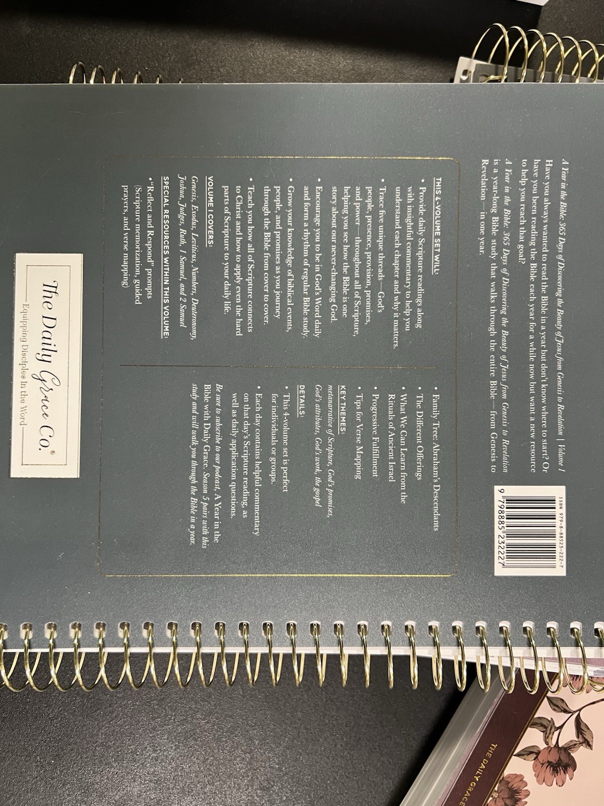 The Daily Grace Co. A Year in the Bible Daily Spiral Planner
