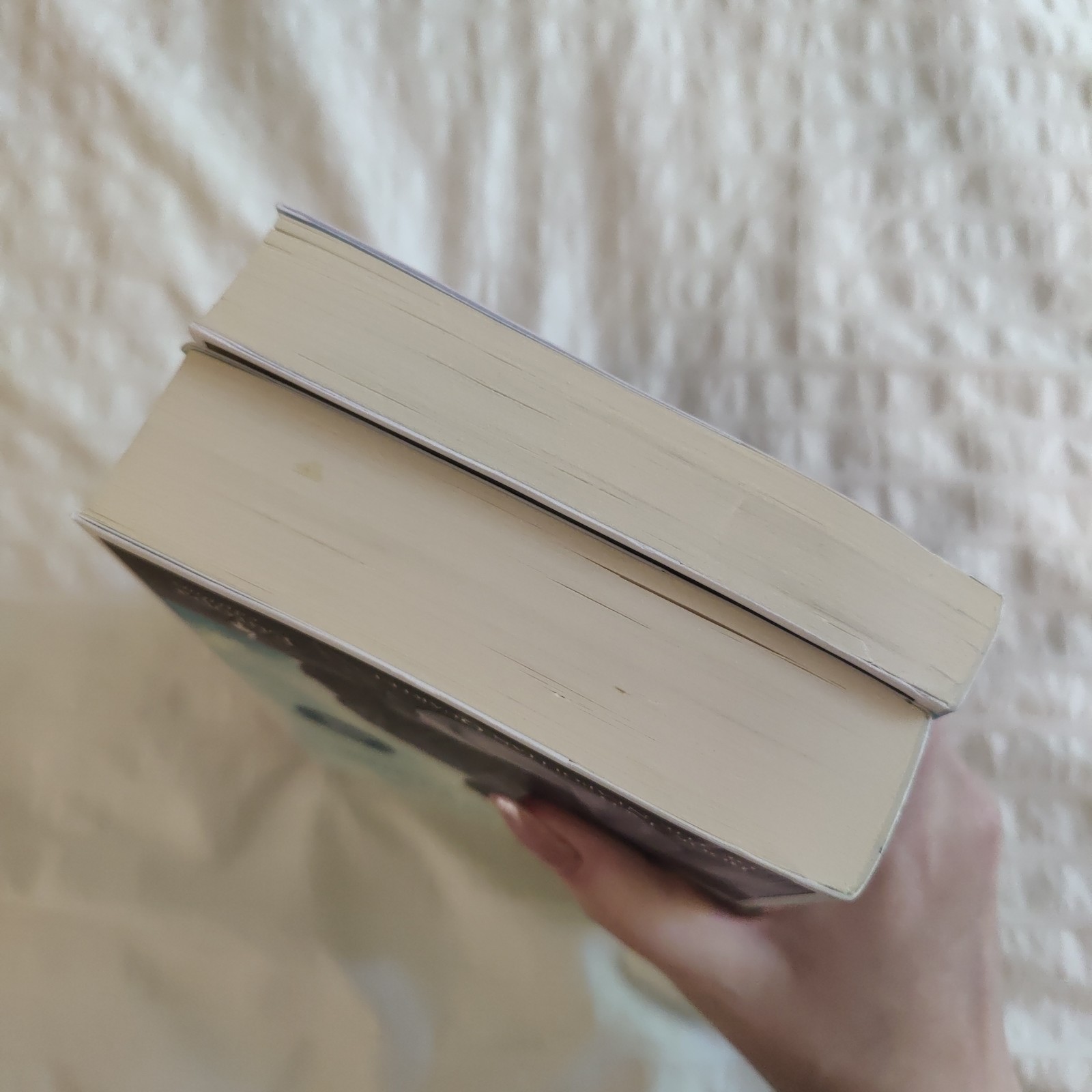 The Neapolitan Novels box set by Elena Ferrante(Europa Editions,trade paperback)