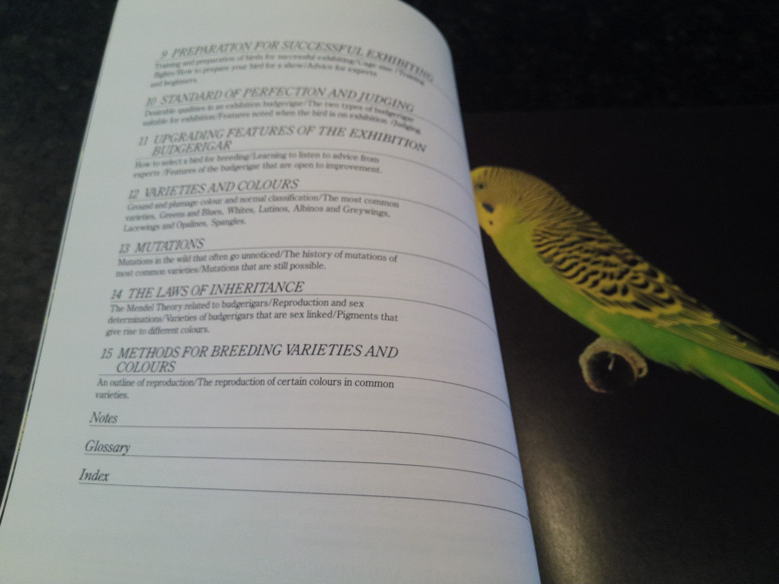 Complete Book of Budgerigars by John Scoble (1987, Trade Paperback)