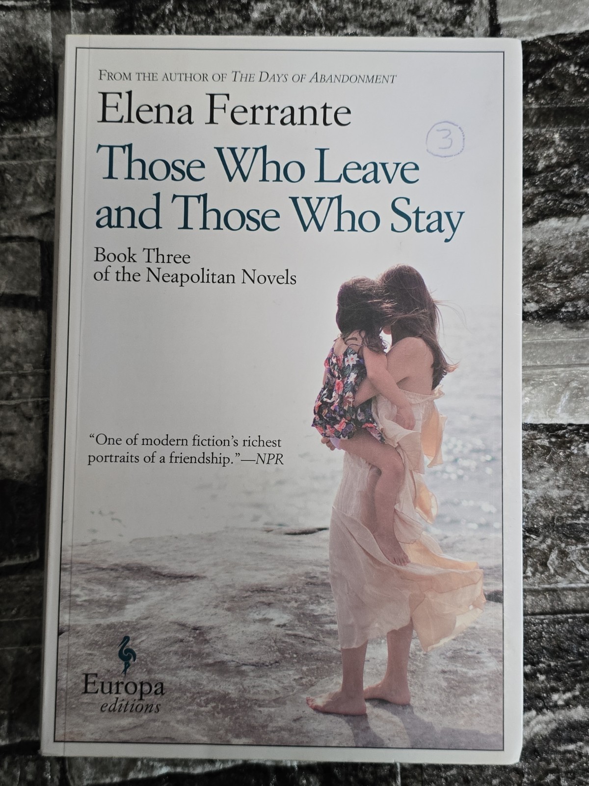 Elena Ferrante Lot Neapolitan Novels Complete Series Set 4 Books Europa 1-4