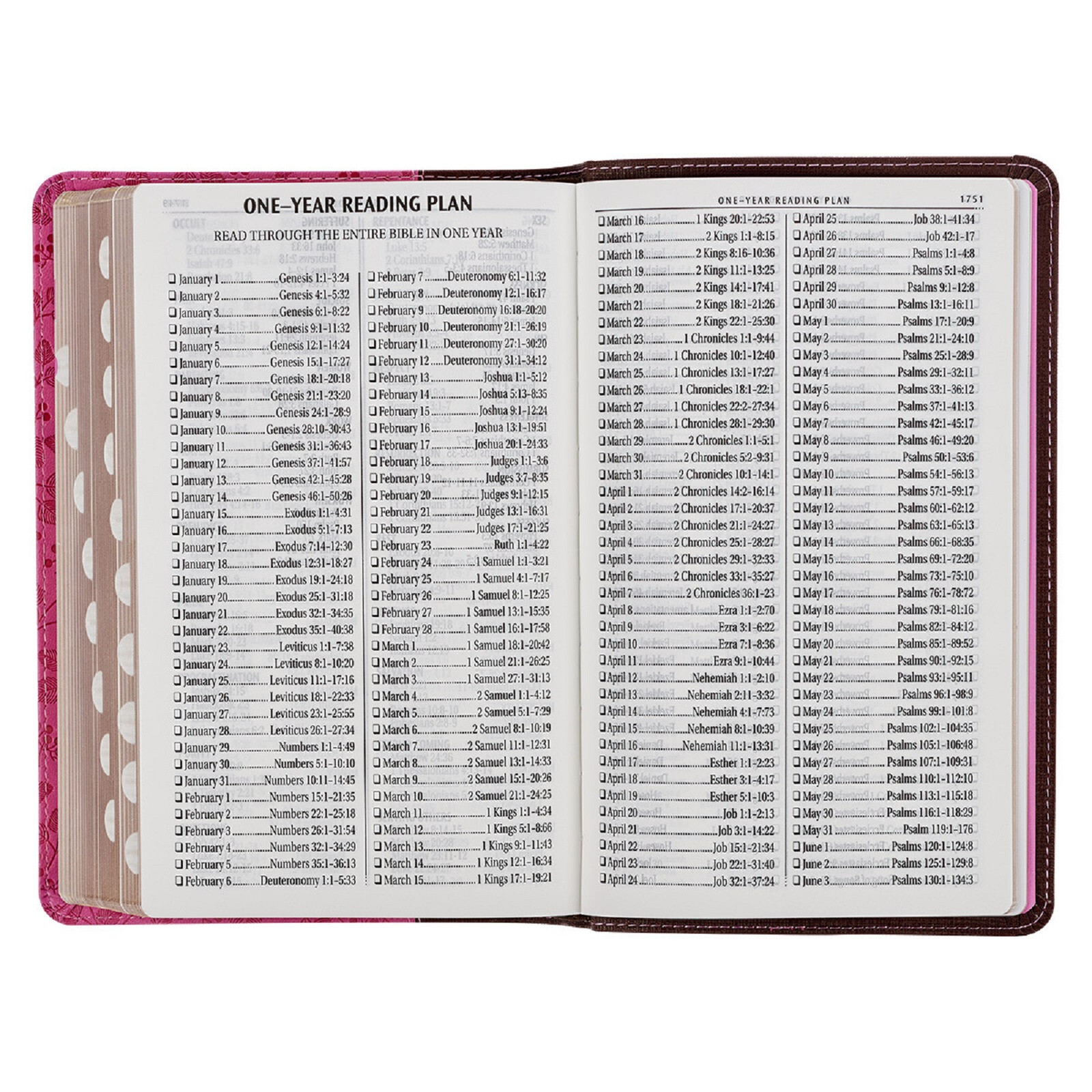 KJV Giant Print Brown Berry Pink Thumb Indexed BRAND NEW in Shrink Wrap!!!