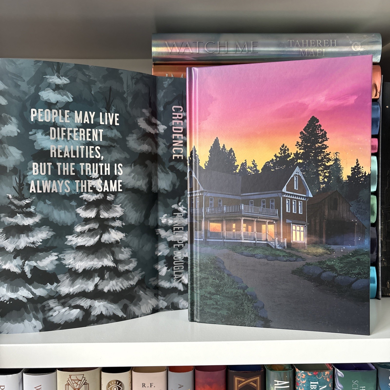 Credence by Penelope Douglas Books For Days Crate Special Edition with Overlay