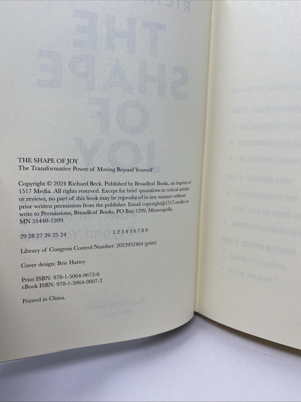 Shape of Joy Richard Beck Hardcover 2024 Spiritual Growth Broadleaf
