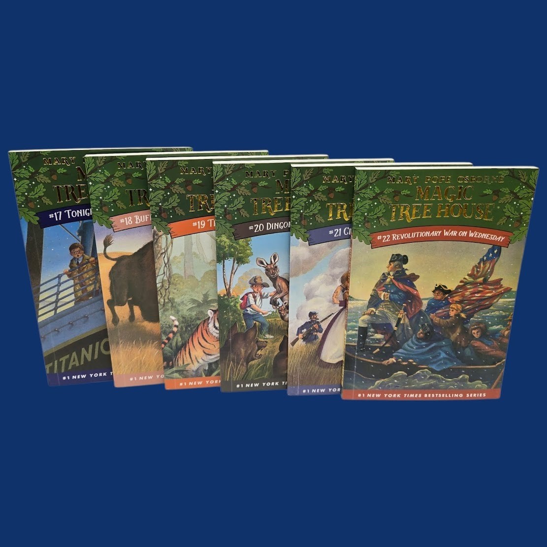 Set 2A: Magic Tree House A Library of Books 1-28 – Mary Pope Osborne Collection
