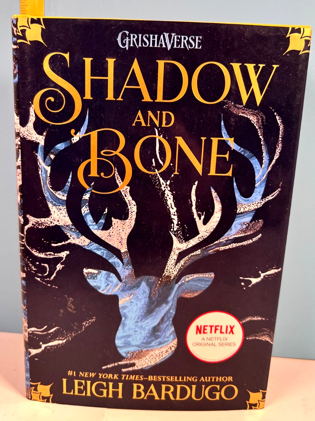🔥SHADOW & BONE by Leigh Bardugo 1st Ed. MacMillan PB 2012🔥