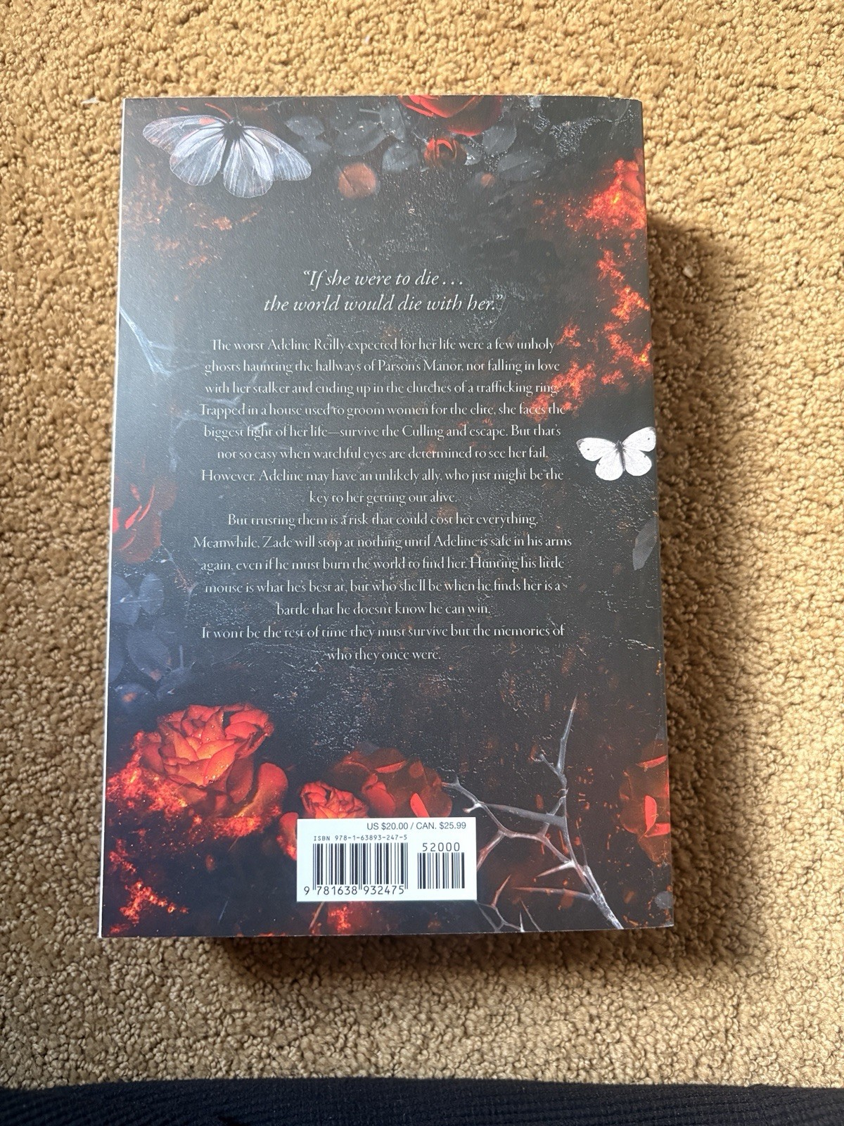 Hunting Adeline : Book 2 of 2: Cat and Mouse Duet by H. D. Carlton (2024, Trade