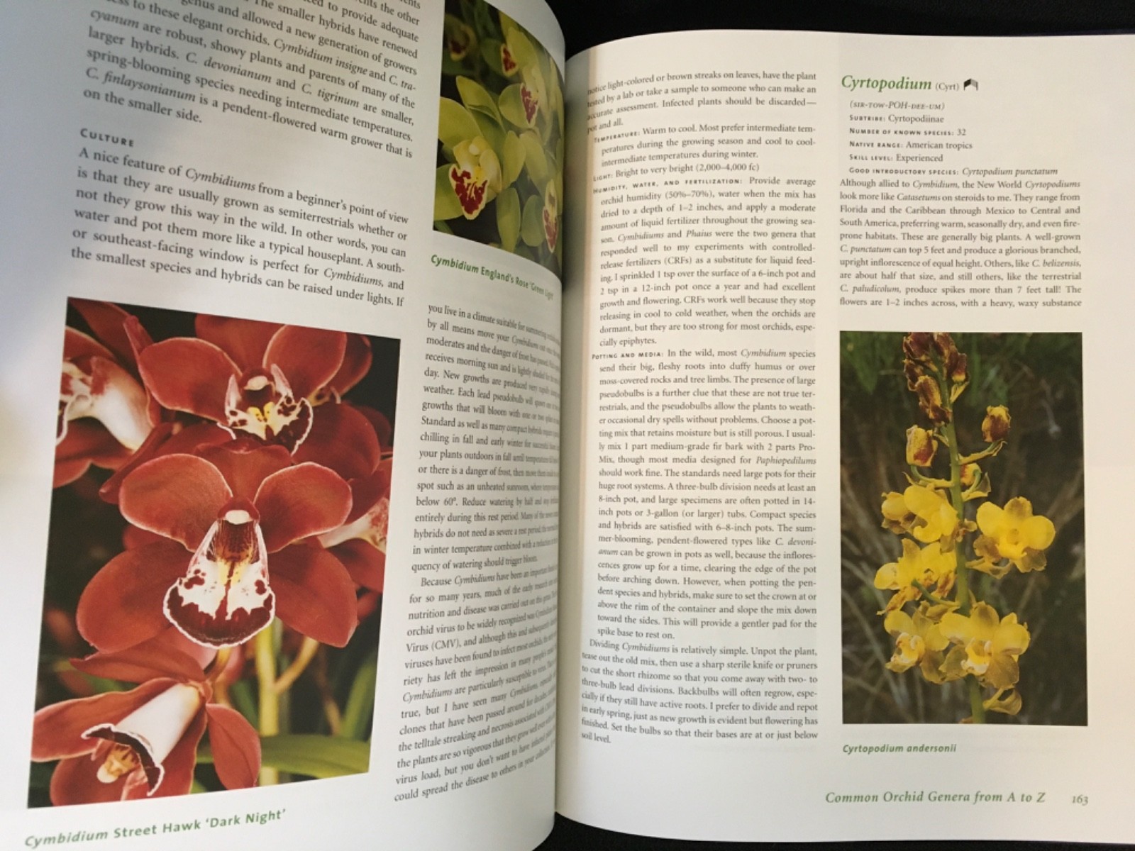 Lot UNDERSTANDING ORCHIDS Guide to Growing Exotic Flowers Plants CULLINA + LORE