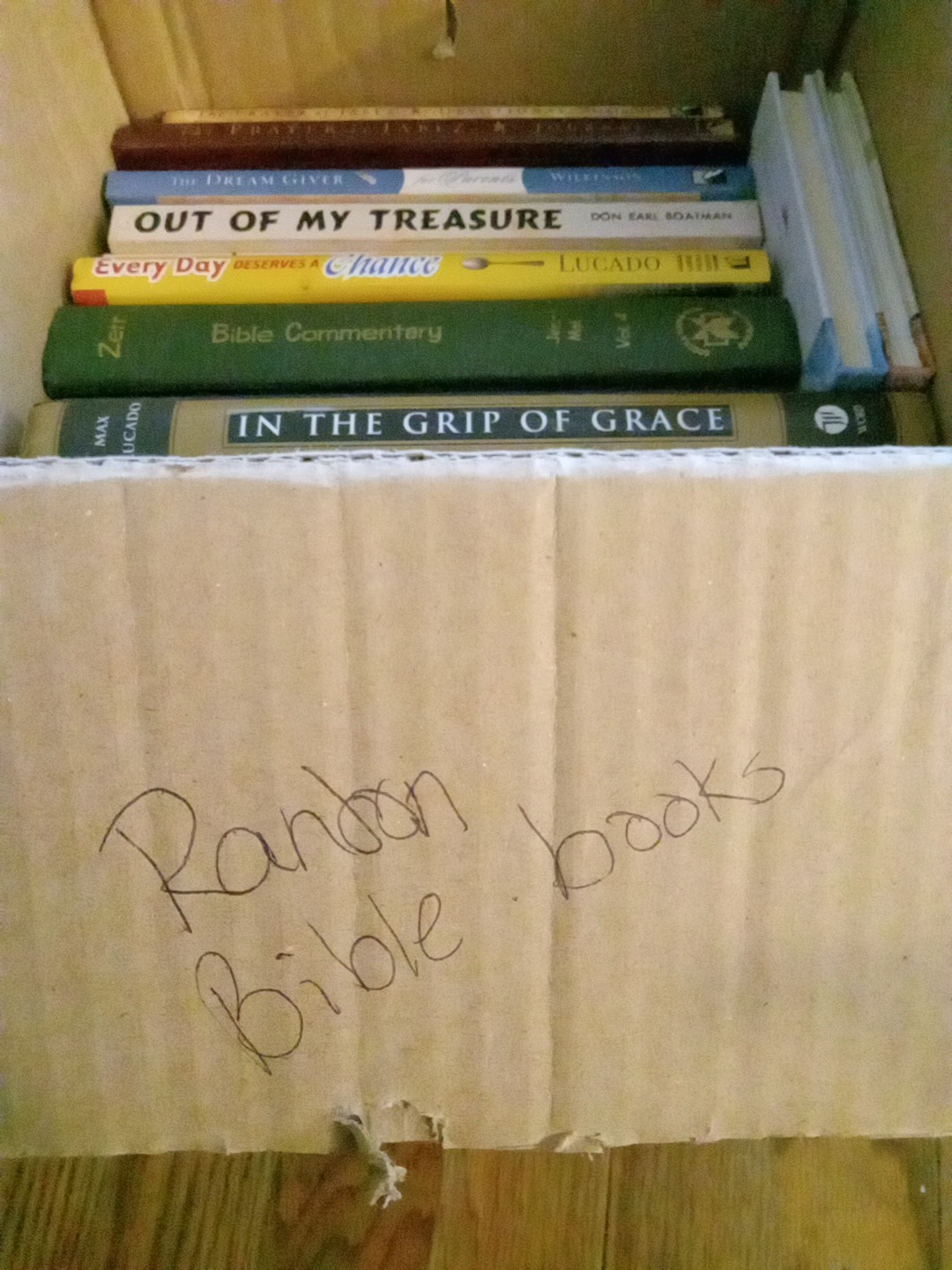 Random Bible Books Book Lot (Box Size 10x9x10.5) May Accept Best Offer