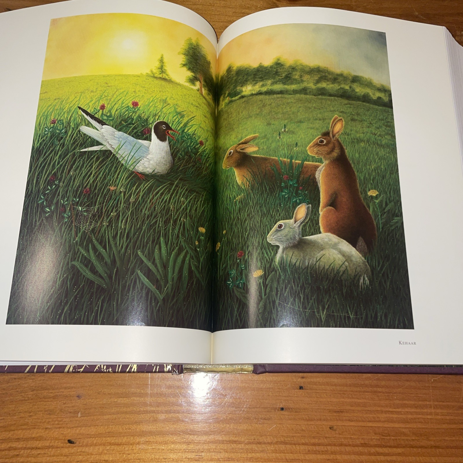 WATERSHIP DOWN Richard Adams & Aldo Galli 2012 Atheneum HB