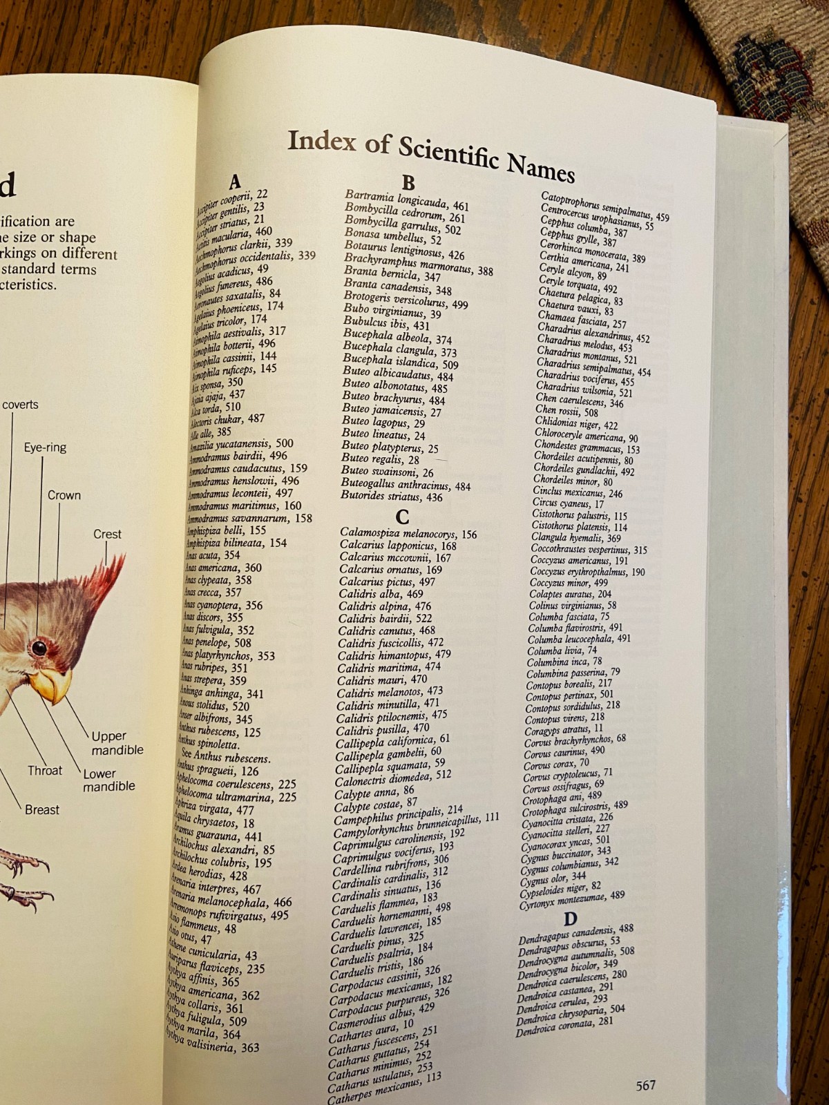 Vintage Reader’s Digest „BOOK of NORTH AMERICAN BIRDS“, hardcover, 576 pgs, Mint