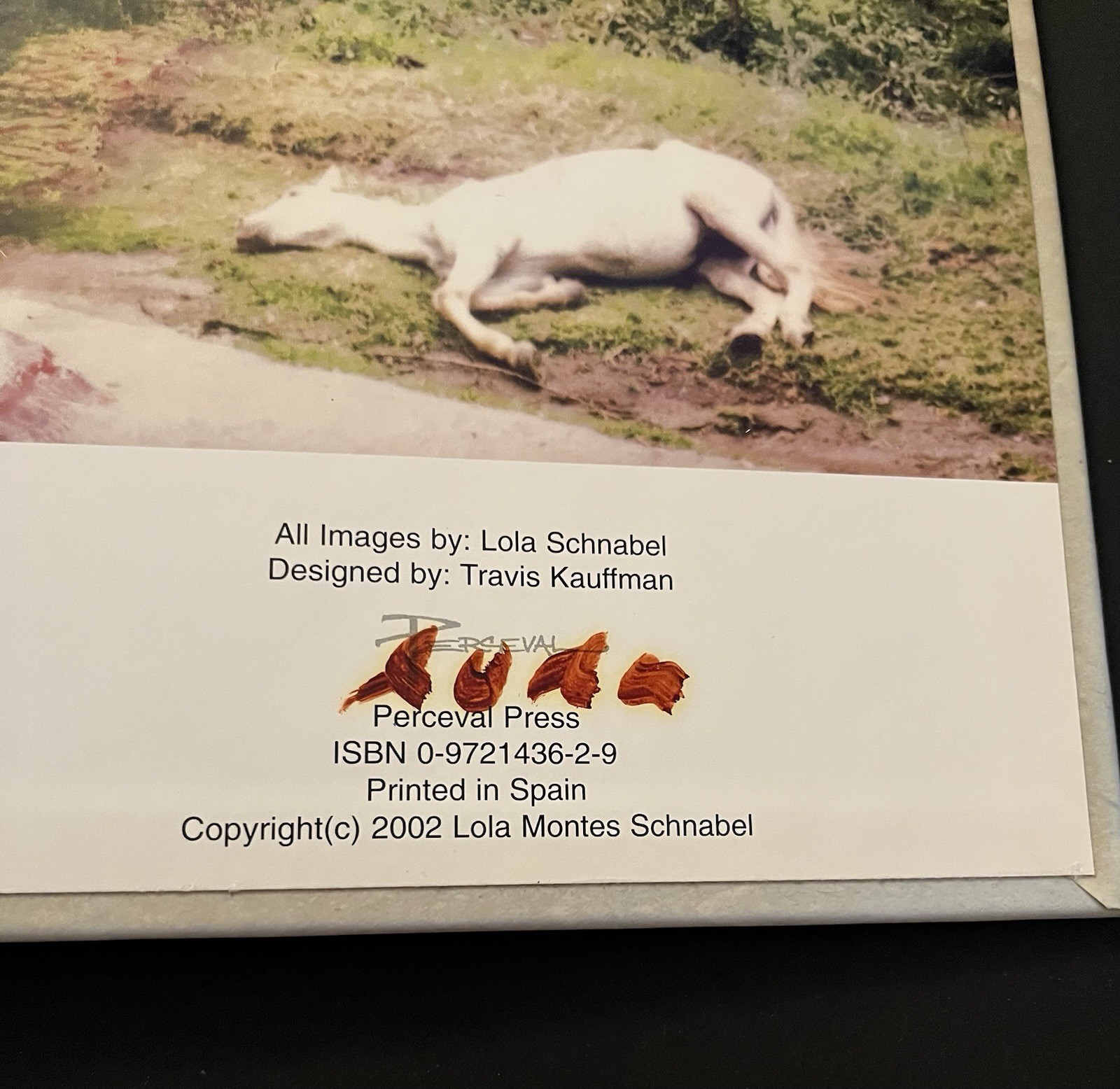 Remember Me by Lola Schnabel (2003, Hardcover) 399/1000