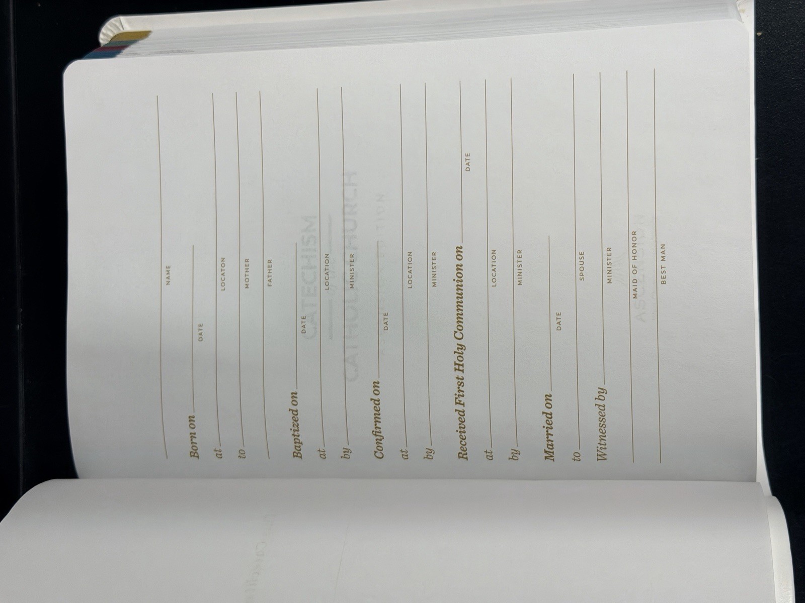 The Catechism of the Catholic Church: Ascension Edition Large Print NEW