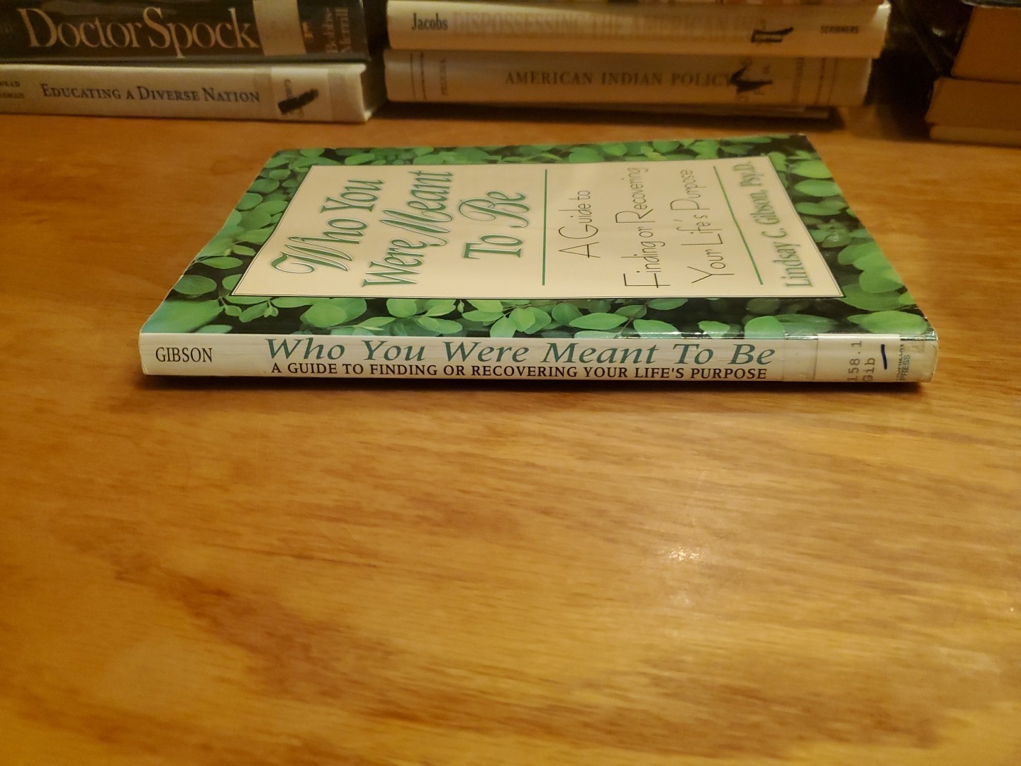 Who You Were Meant to Be: A Guide to Finding… by Linday Gibson 2000 PB