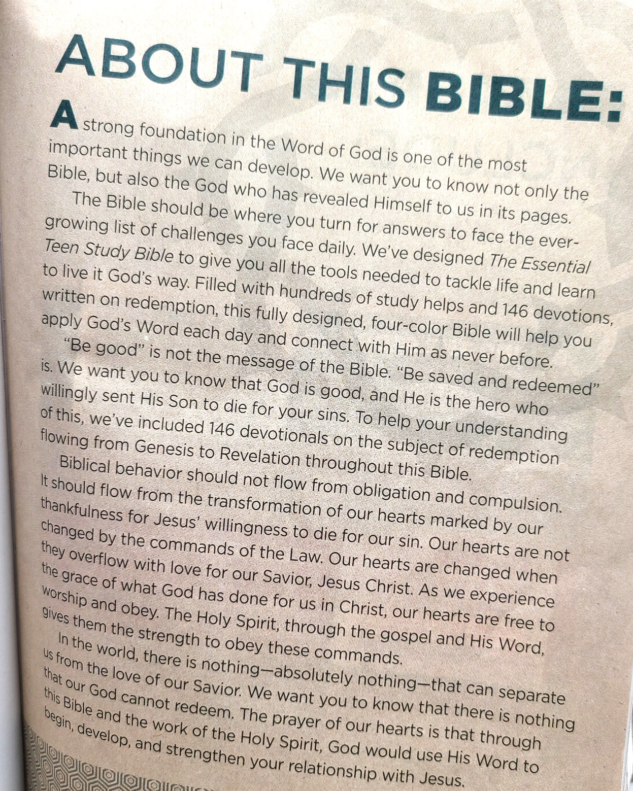 Essential Teen Study Bible : Holman Christian Standard Bible